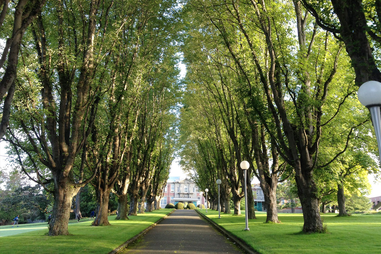 a tree lined path leads to iconic Young Building on the Landsdowne campus